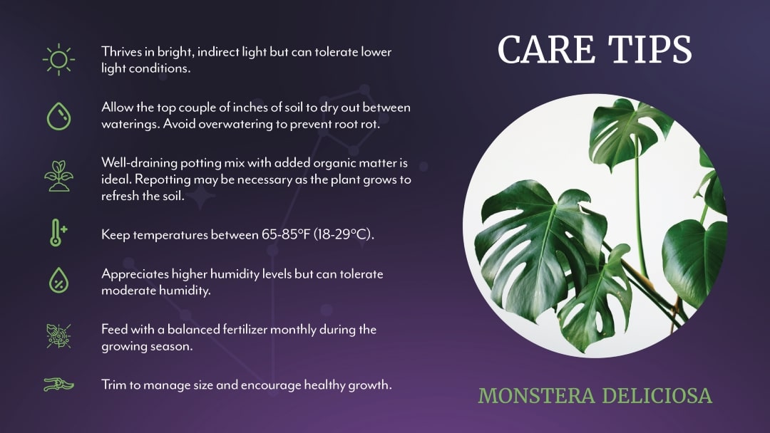 Top Pisces Plants:Easy ways to Choose and Care for them?