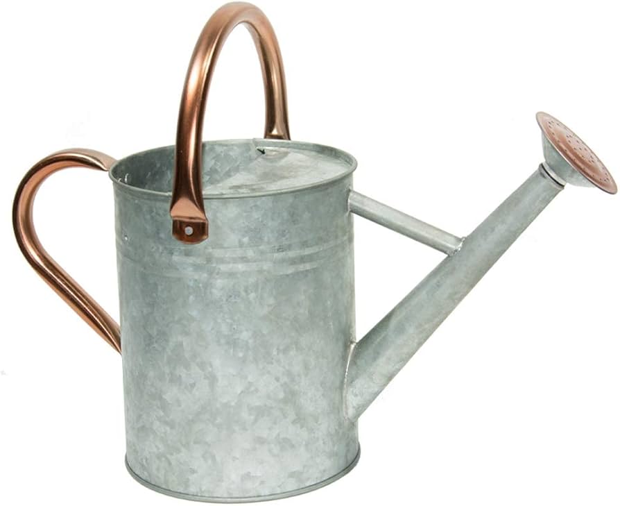 Need a Tin Watering Can? Get The Best One For The Price!