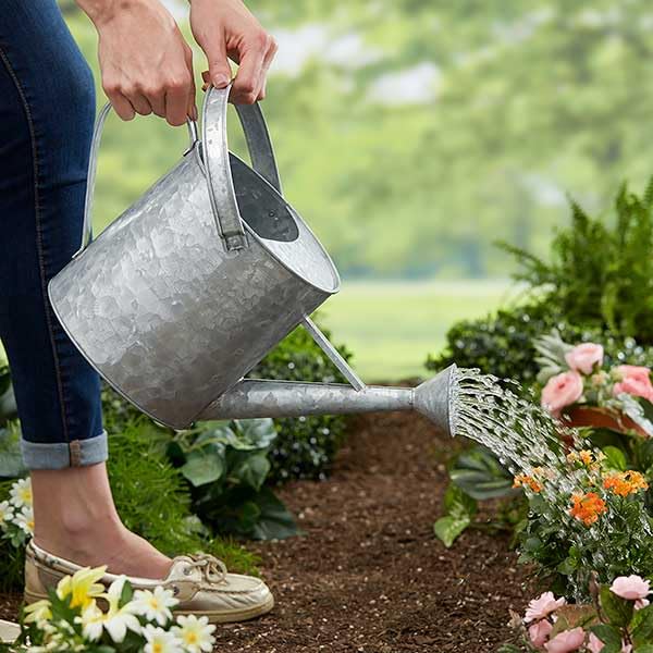 Get a Monogrammed Watering Can: Best Gardeners Gift 2024!