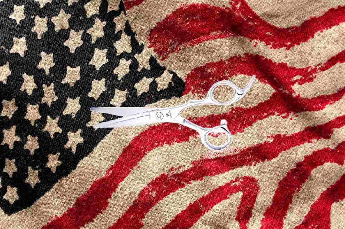 US States Most Scissors: Where Are Scissors Most Popular in America?