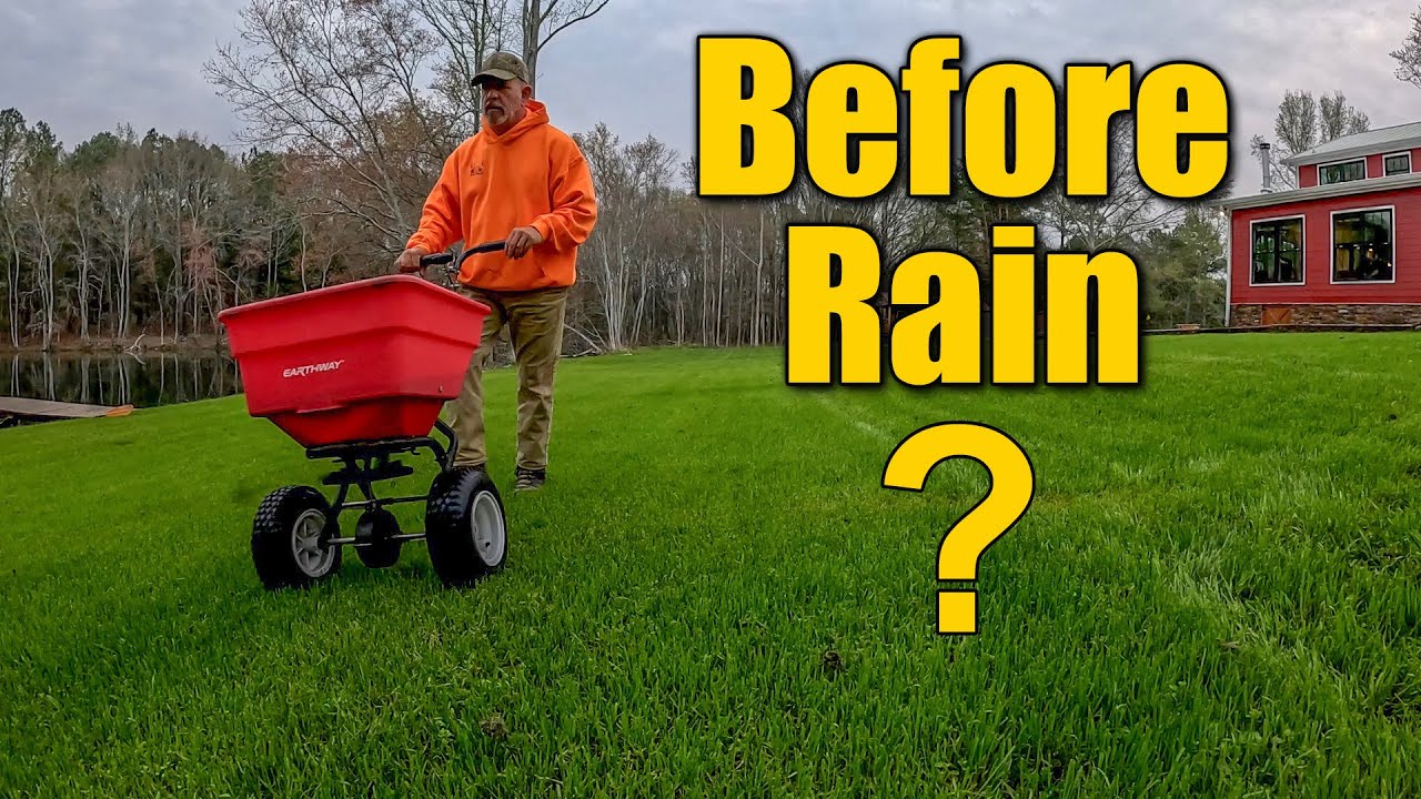 Is It Good to Fertilize Before Rain? Should I Fertilize My Lawn Before It Rains?