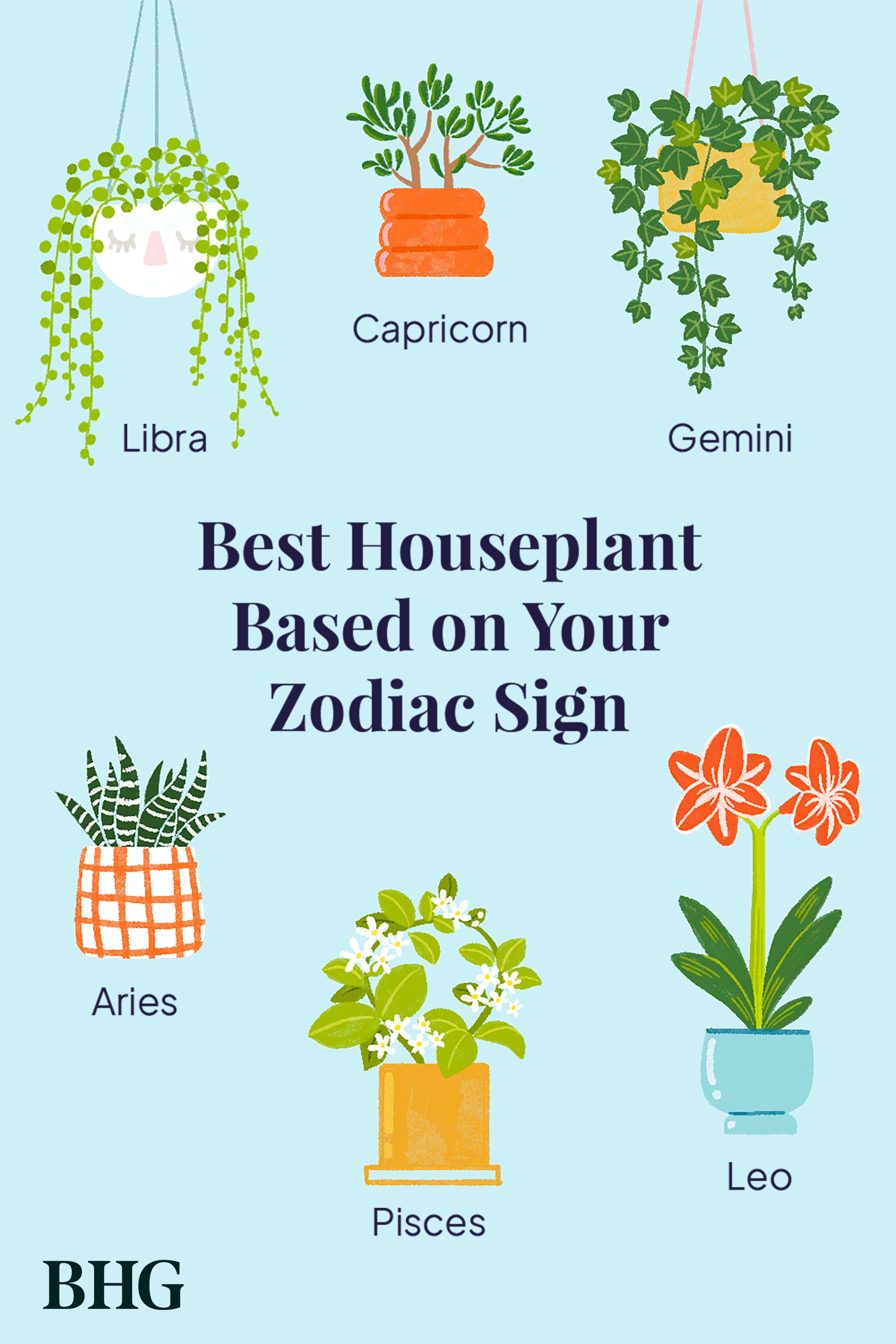 Top Pisces Plants:Easy ways to Choose and Care for them?