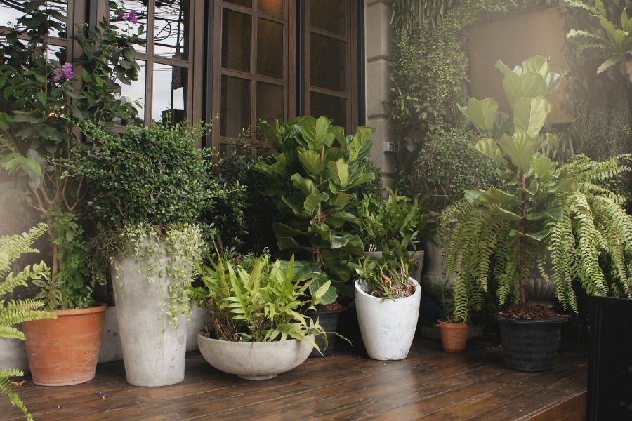 Lightweight Outdoor Planters Buying Guide: Simple Tips for Choosing!