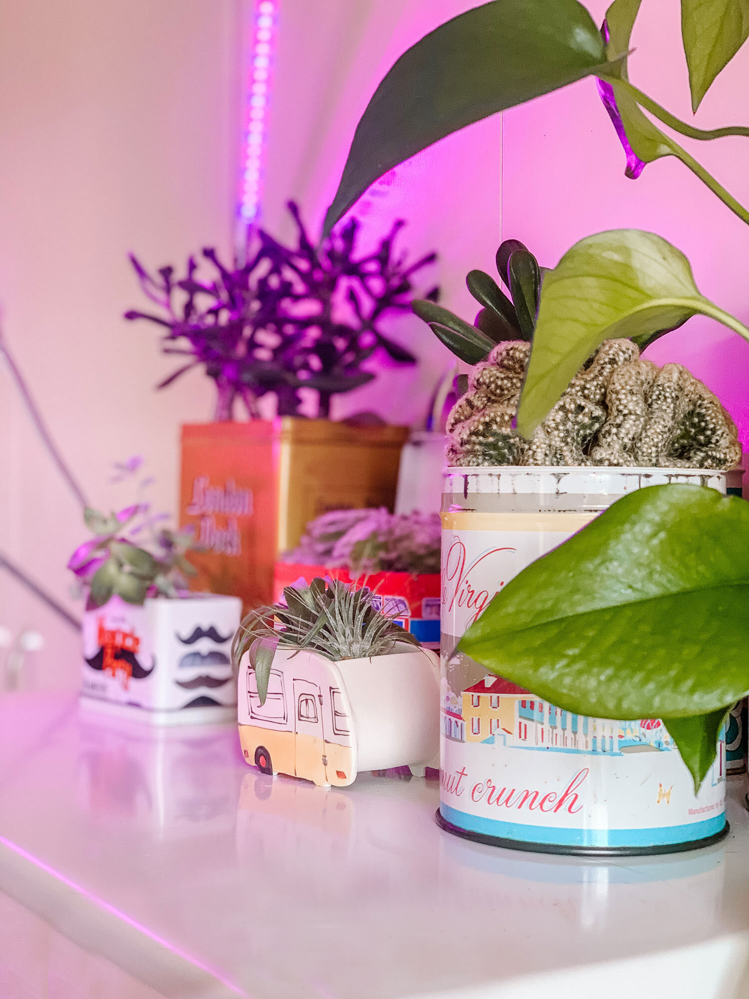 Get More From Your Plants, Choosing best UV Grow Light Bulbs