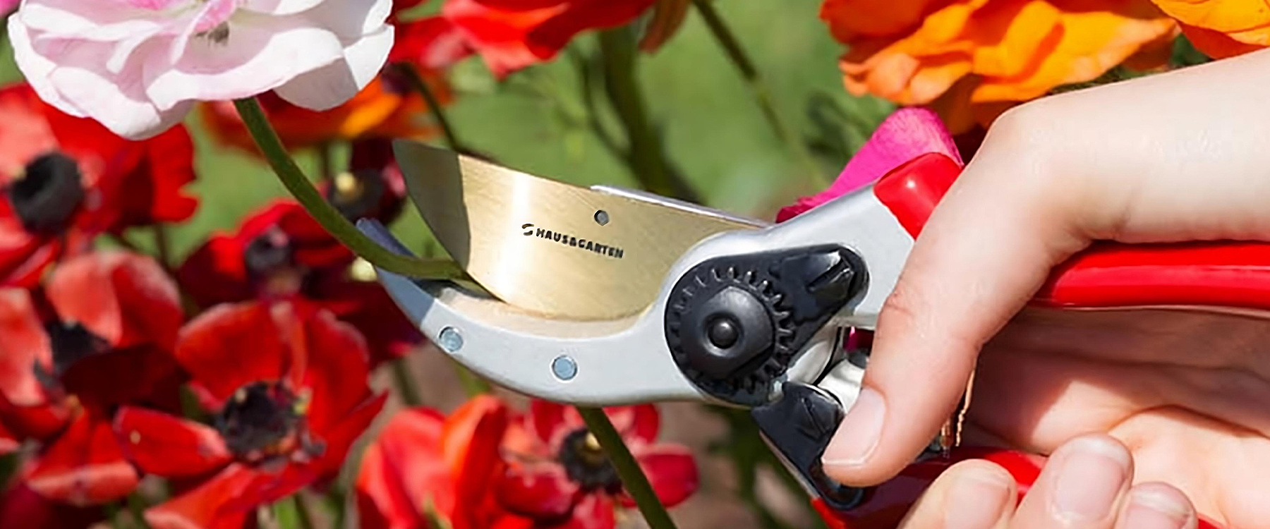 Floral Pruning Shears: How to Choose the Perfect Pair.