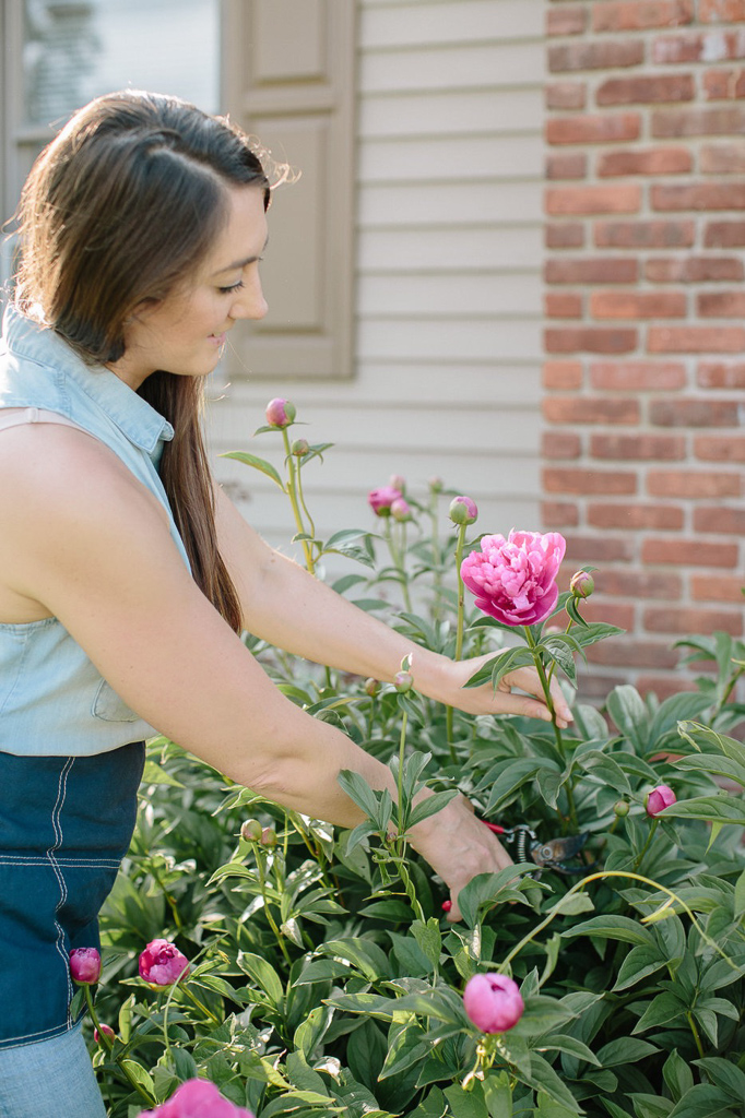 Done Blooming? Essential Care of Peonies After Blooming for Beginners.
