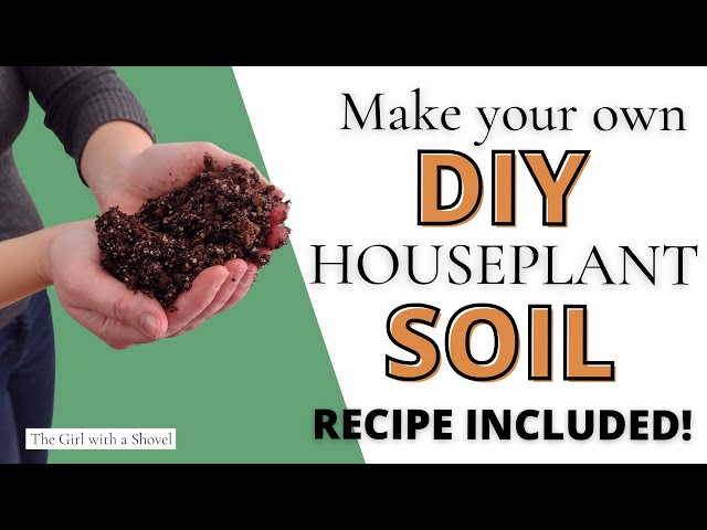 DIY Potting Soil for Indoor Plants: Save Money Now!