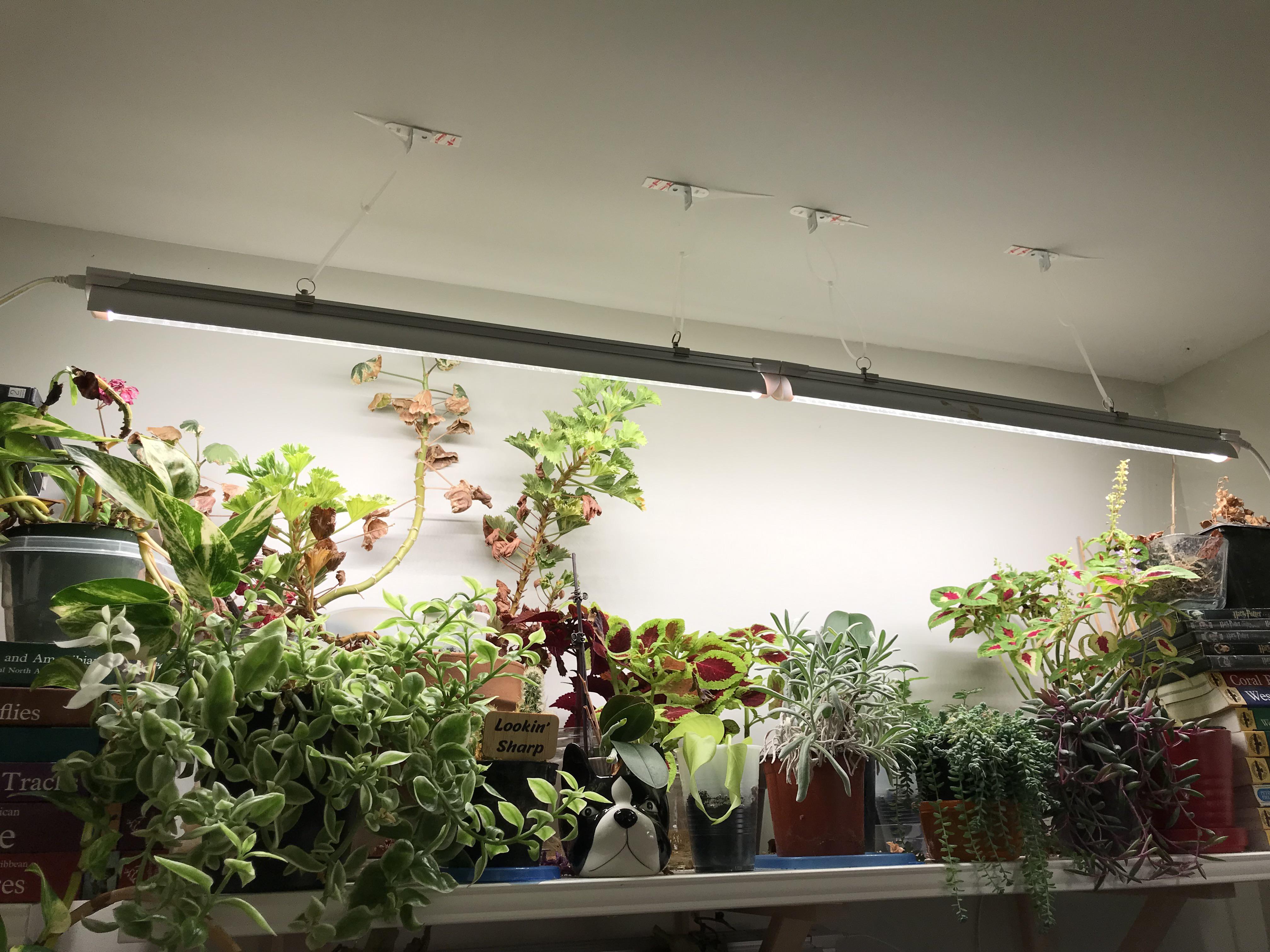 Grow Light Hangers: Installation Tips for a Perfect Setup