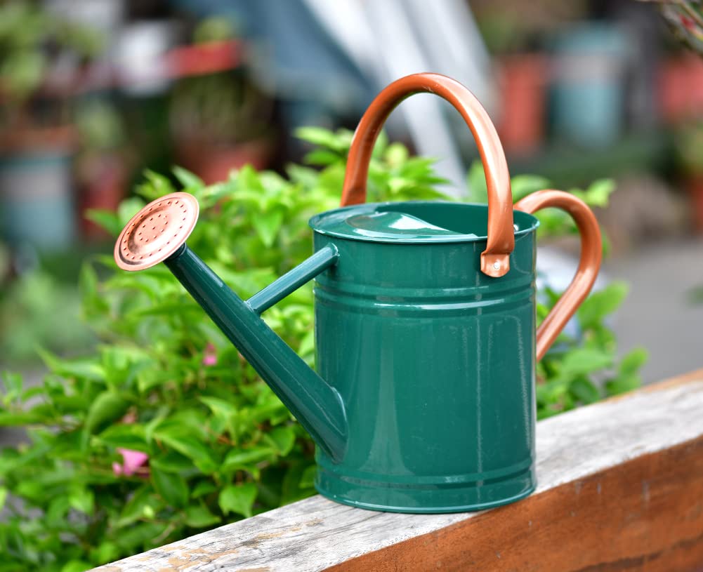 Need a Metal Watering Can? Find Your Perfect One Here!