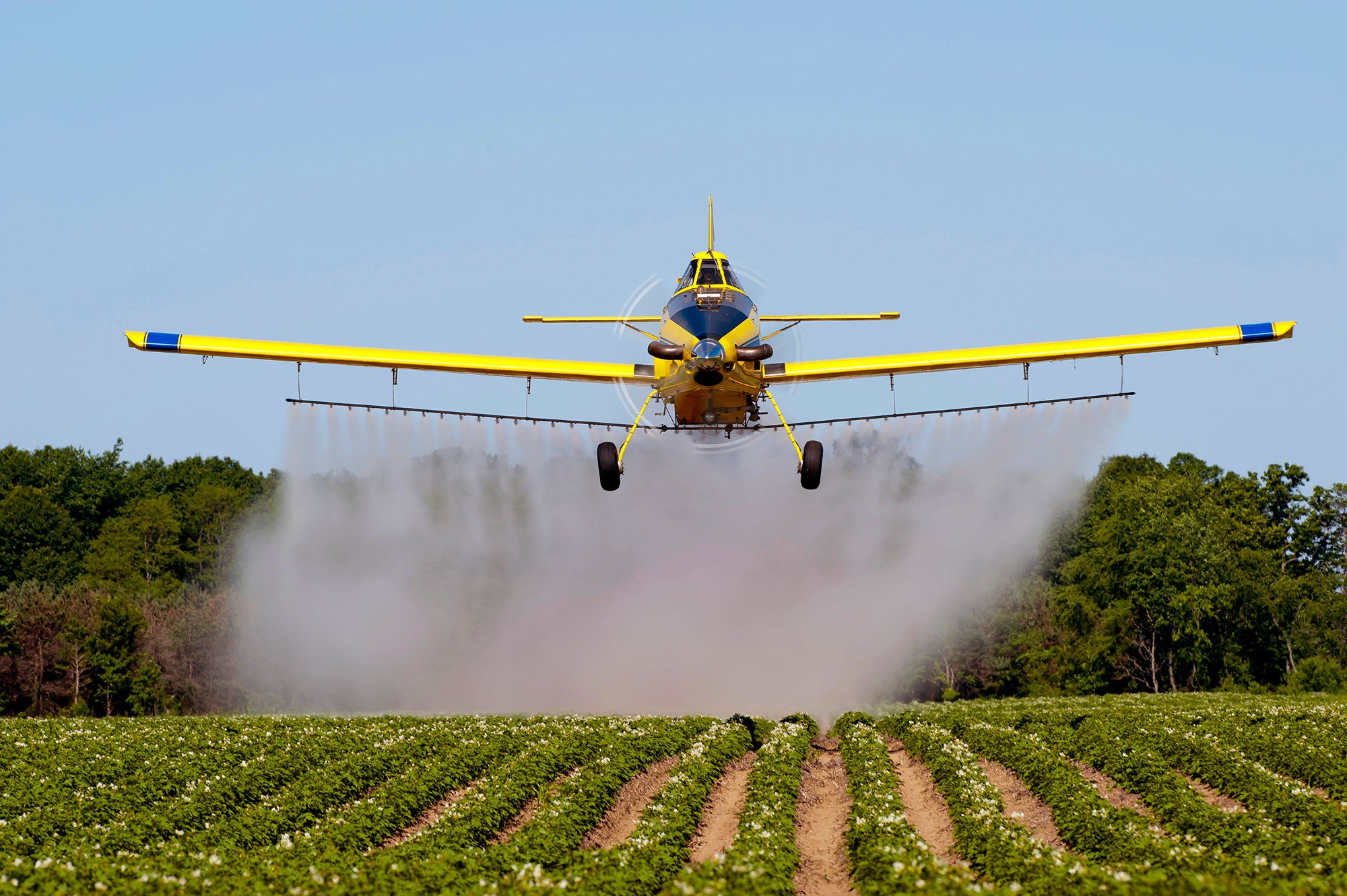 Pesticides & Nyland Acres Pilot Program, Get the simple info here!