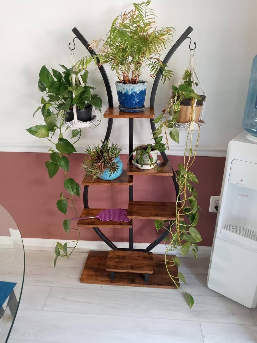 Affordable Designer Plant Stands: Top Picks for Your Home