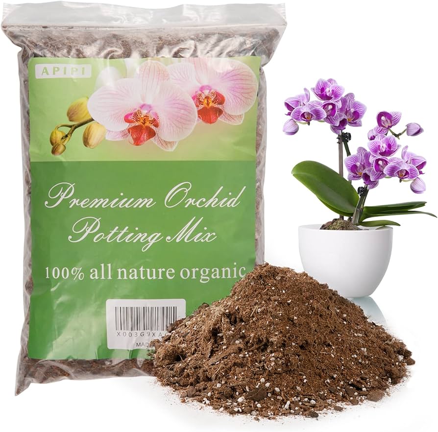 Potting Soil for Phalaenopsis Orchids: Get it Right!