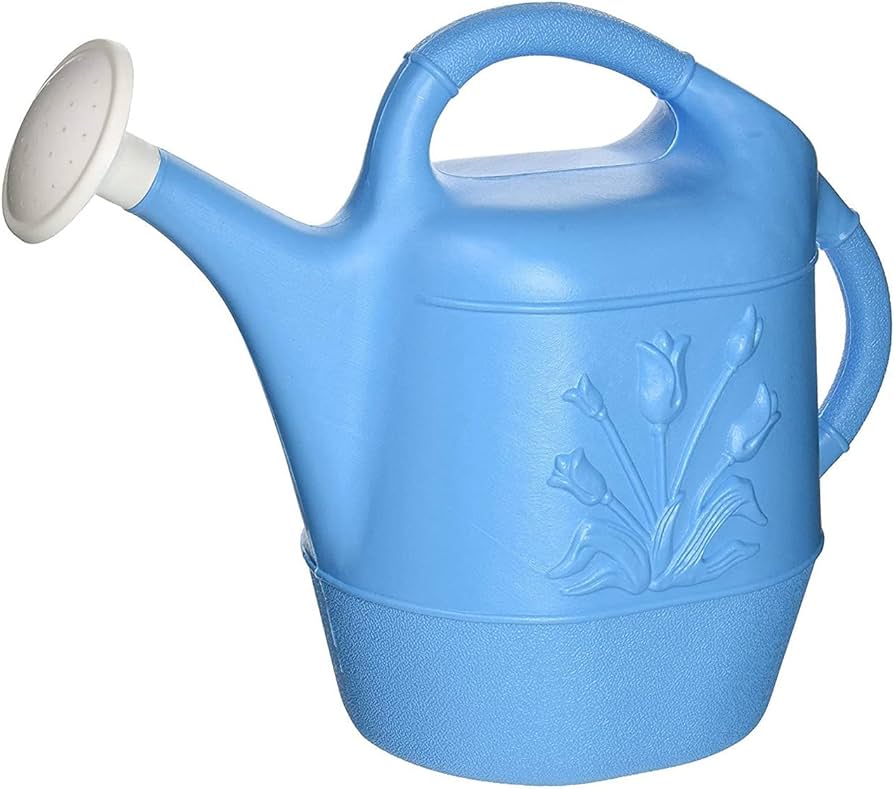 2 Gallon Plastic Watering Can: Best Picks & Where to Buy