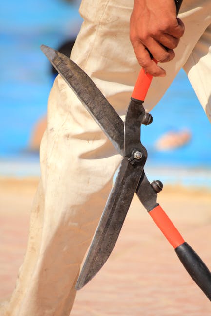 Gardening Tool Sharpening Near Me: Sharpen Your Tools Locally Today!