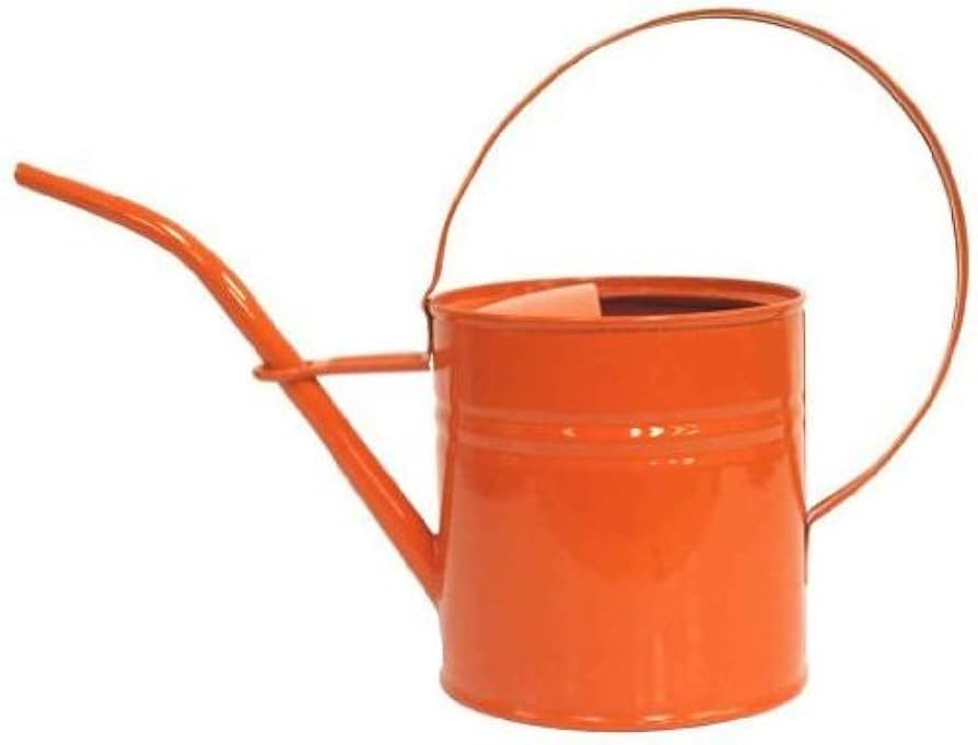 Need a 1 Quart Watering Can? Find the Perfect One!