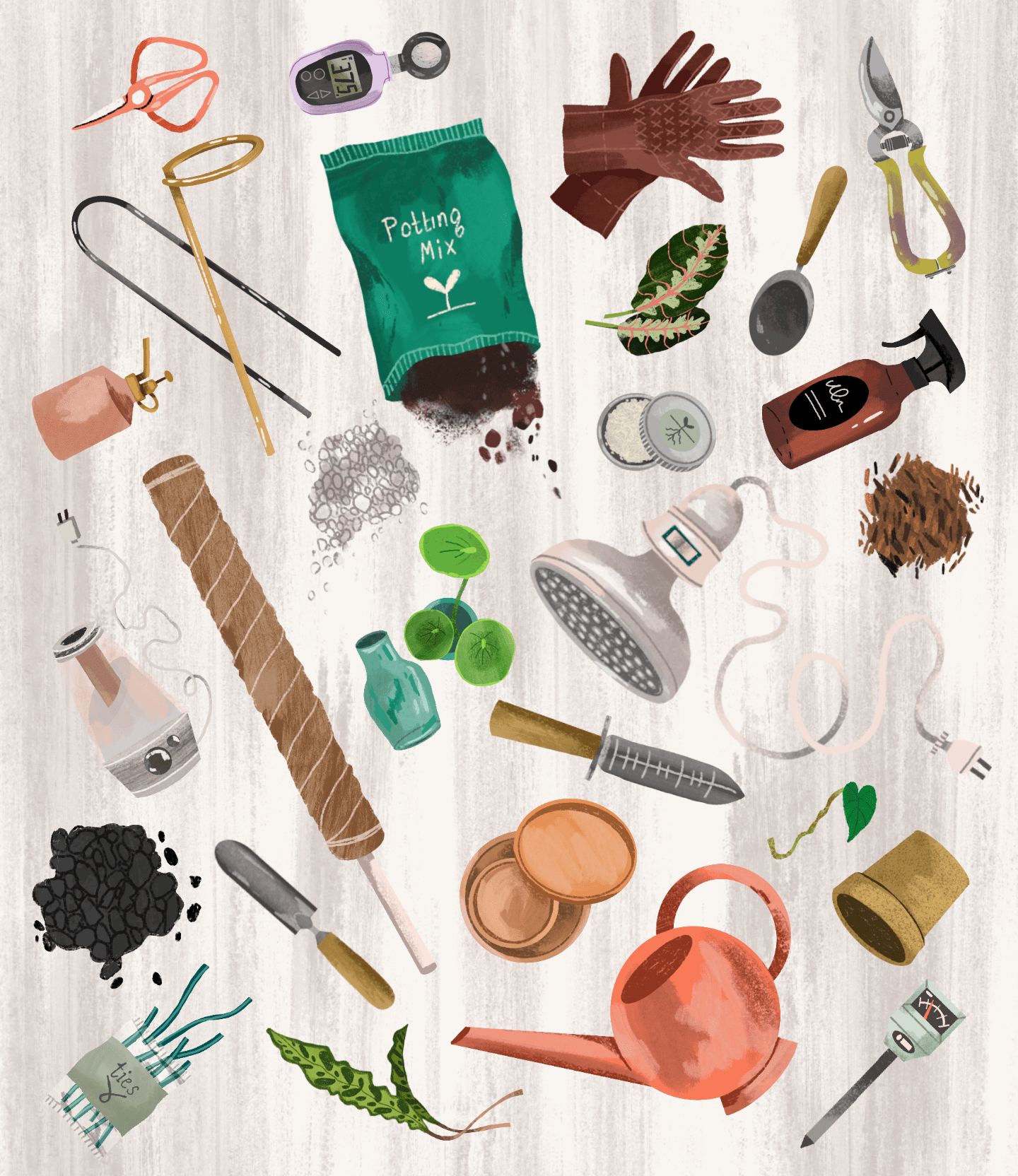 Essential tools for houseplants: Make Plant Care Super Simple!