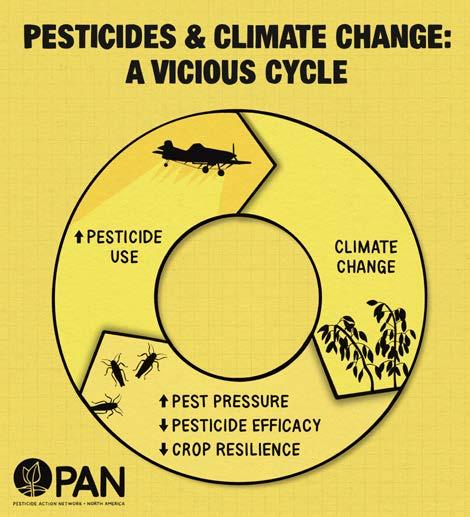 Is CO2 a Pesticide or Not? Find Out in Simple Words.