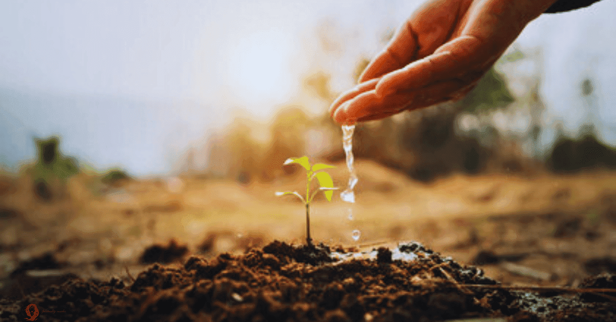 Had a dream about watering plants? Find out the hidden meanings!