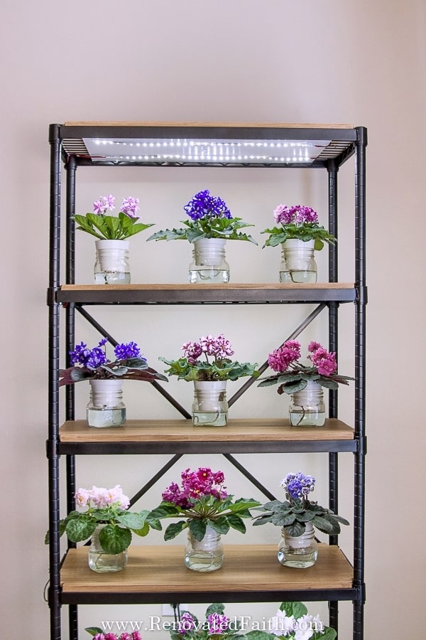 DIY Grow Light Plant Stand: Simple Project, Big Results!