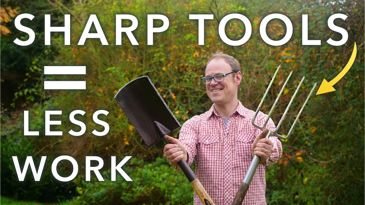 How to use a gardening tool sharpener: Simple steps for sharp tools!
