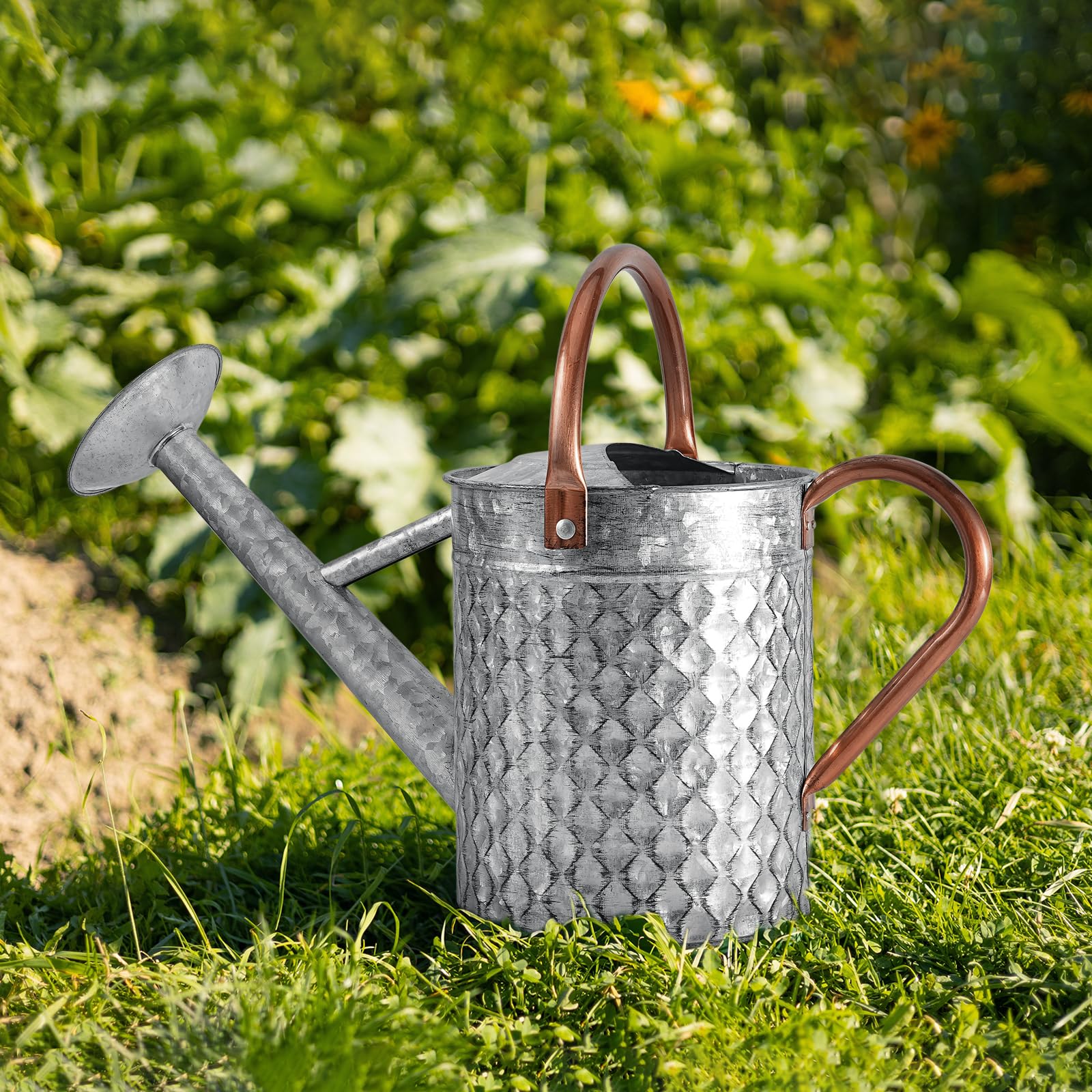 1 Gallon Metal Watering Can: Durable Choice for Your Garden