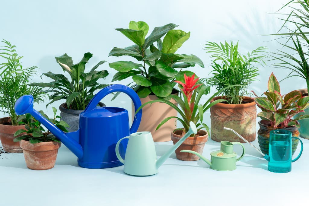 Best Plant Watering Cart Reviews: Whats the Right Choice for Your Needs?