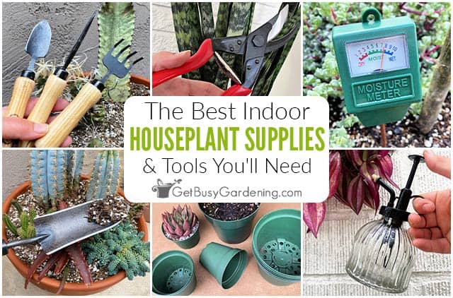 Houseplant Tools and Gadgets,find the most effective