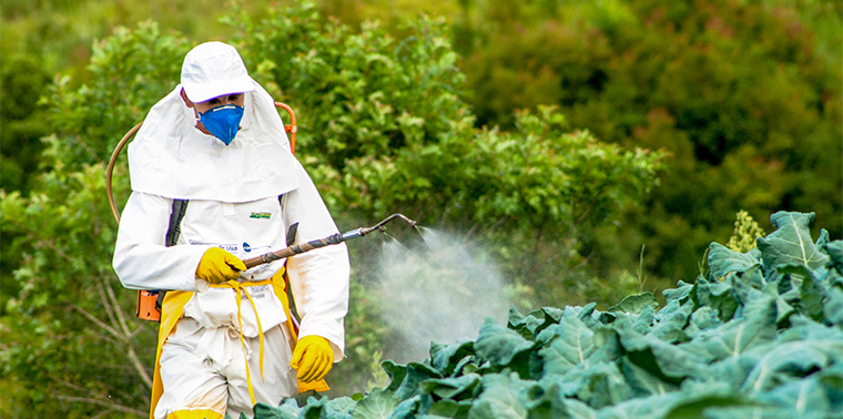 Worried About Pesticides? Does Good News Have Pesticides inside?
