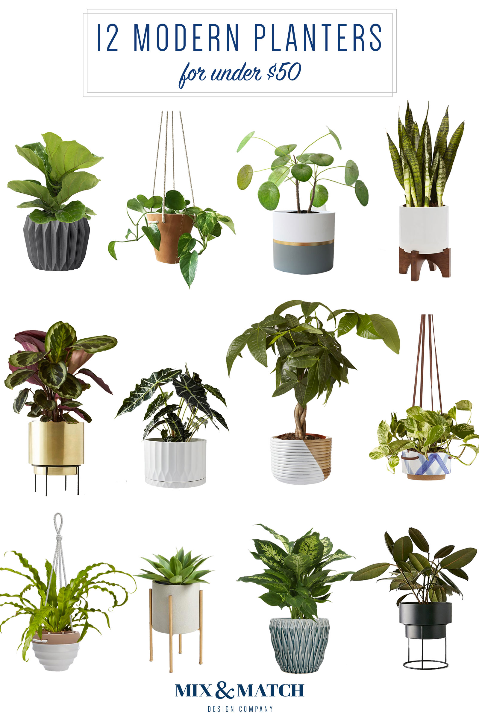 Modern Standing Planter Buying Guide: Top Picks & Tips