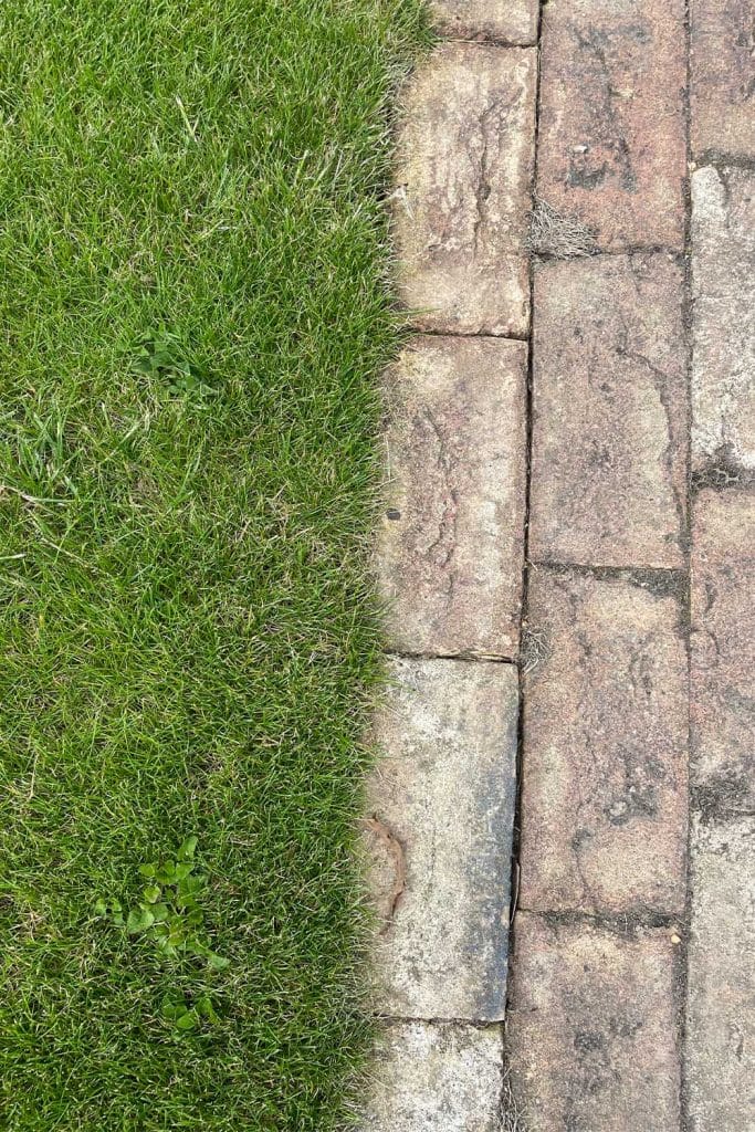 Lawn Food vs Lawn Fertilizer: Whats the Simple Difference?