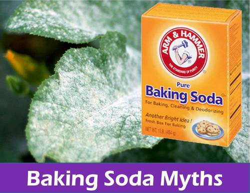 Kill Nutrients by Baking Soil: Truth or Garden Myth?