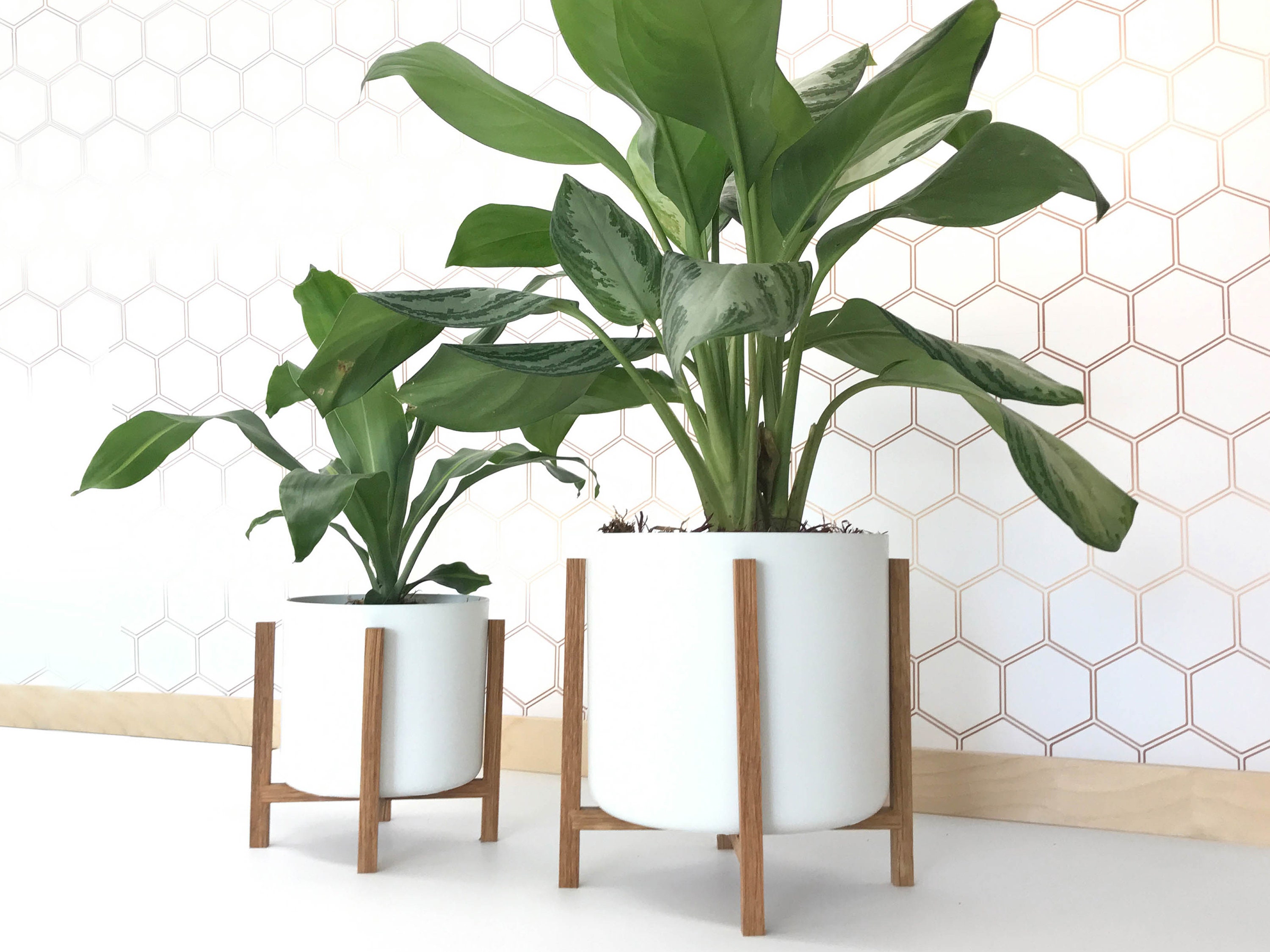 Get Modern Planter With Stand: Top Picks & Where to Buy
