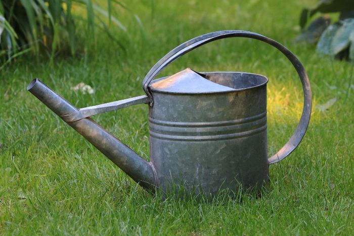 Why choose a large metal watering can for your plants? Understand the long lasting benefits and classic style they bring to gardening.