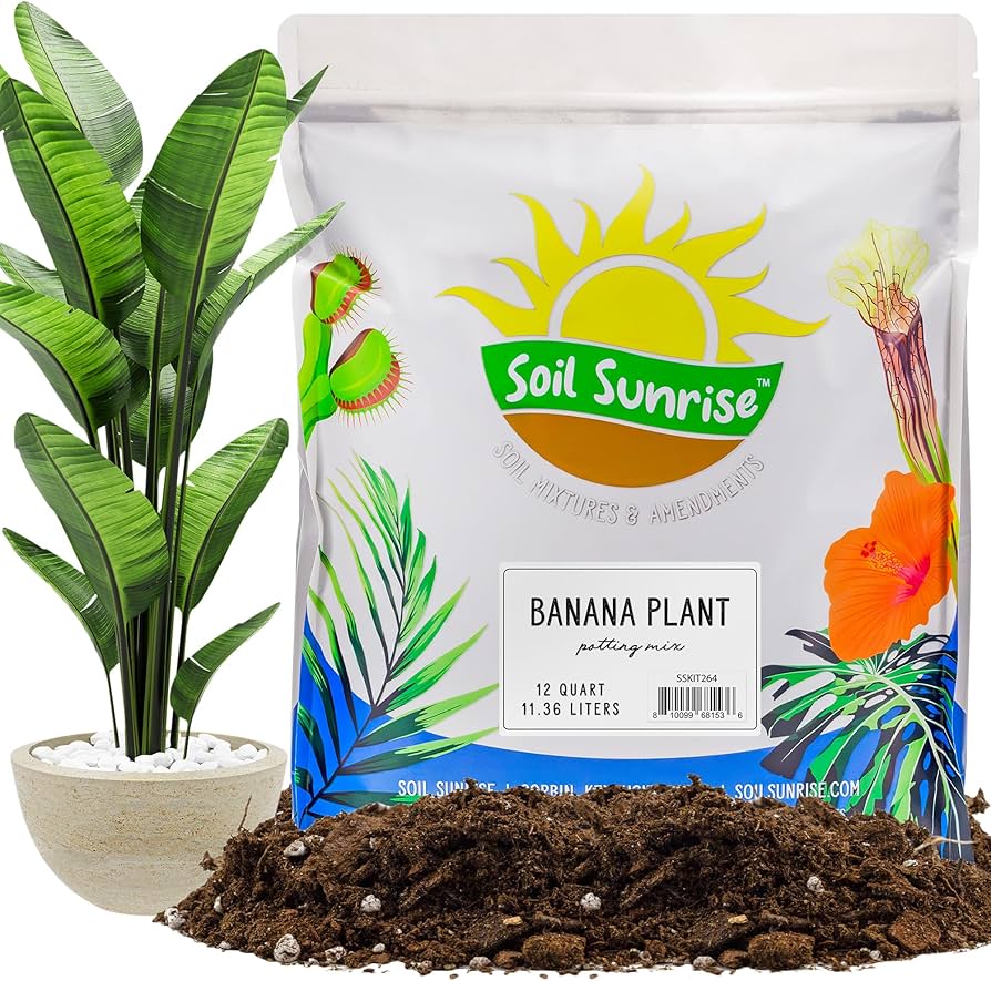Banana Plant Soil Mix: Simple Tips for Best Results.