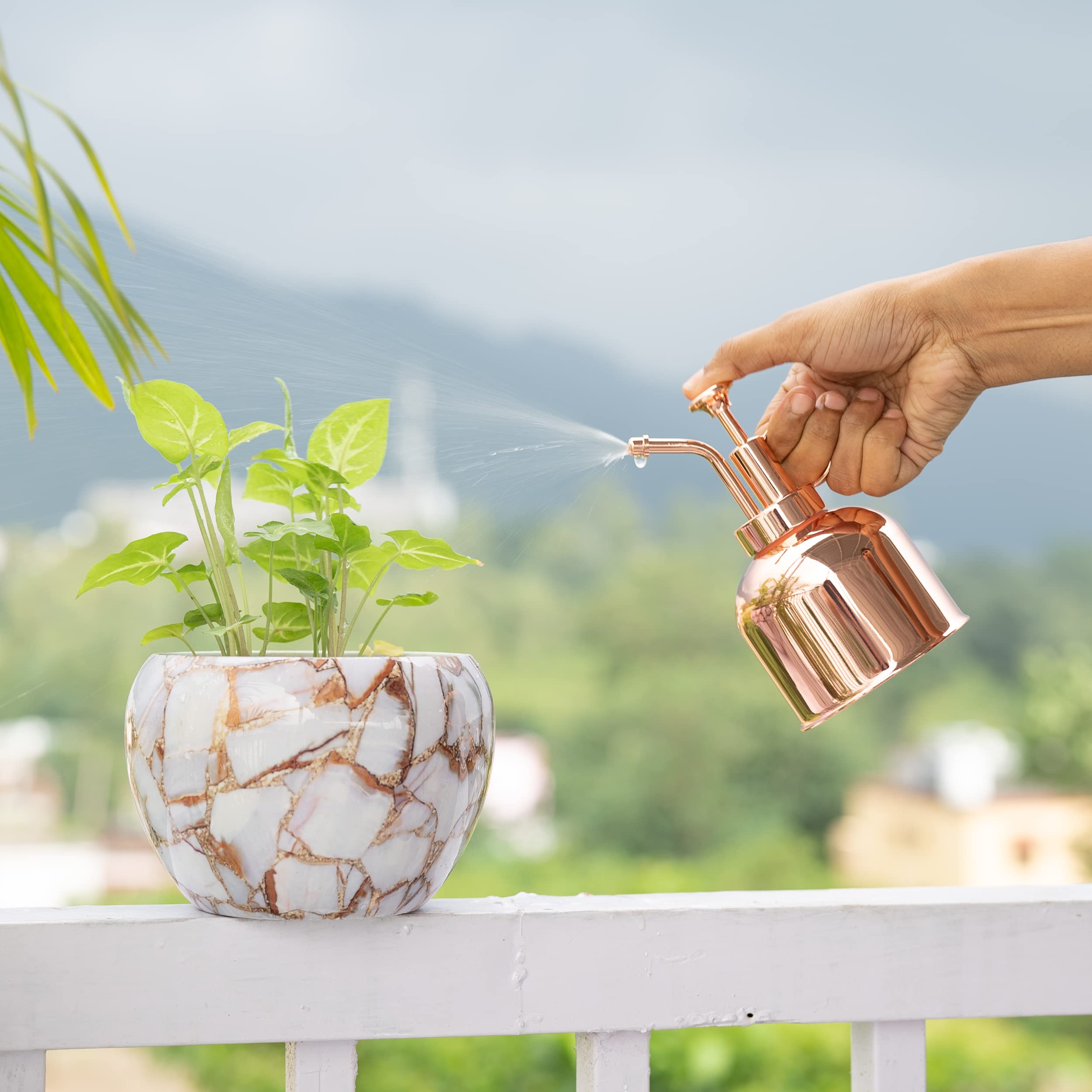 Copper Indoor Watering Can: Stylish & Practical Watering?