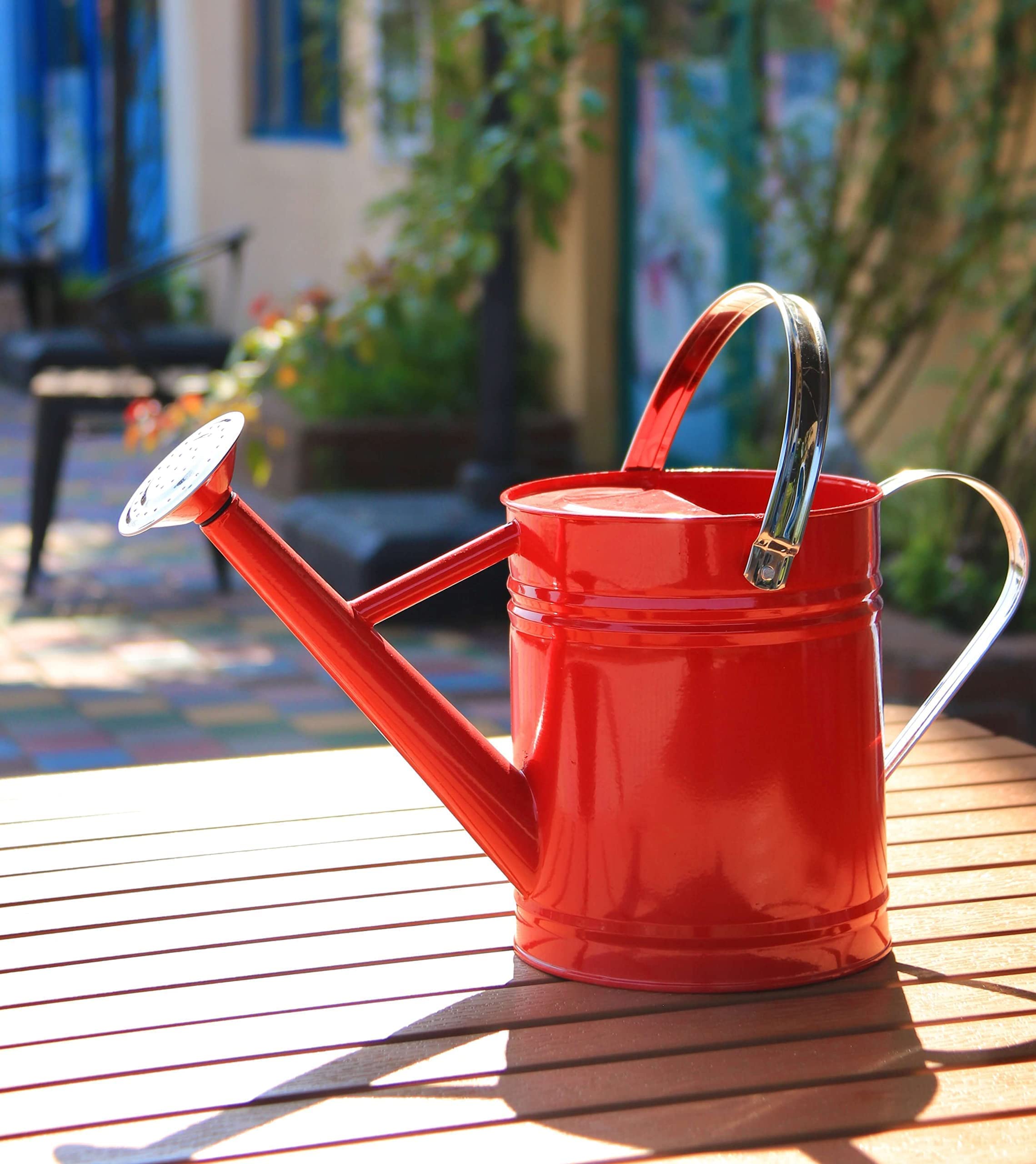 Buying a small galvanized watering can? Read this first!