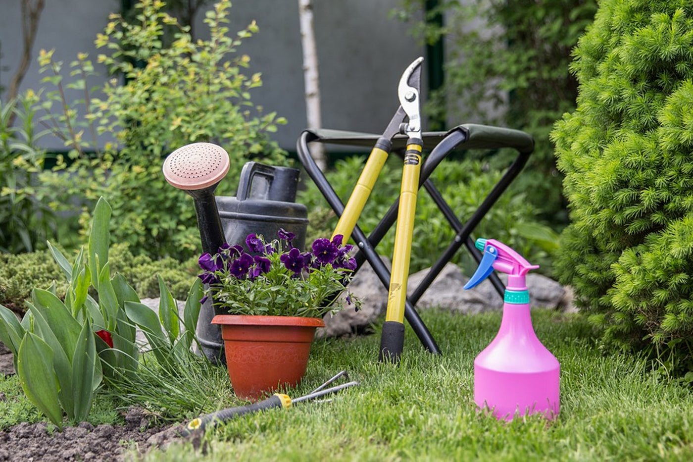 Gardening Tools for People with Disabilities: Get Back to Gardening.