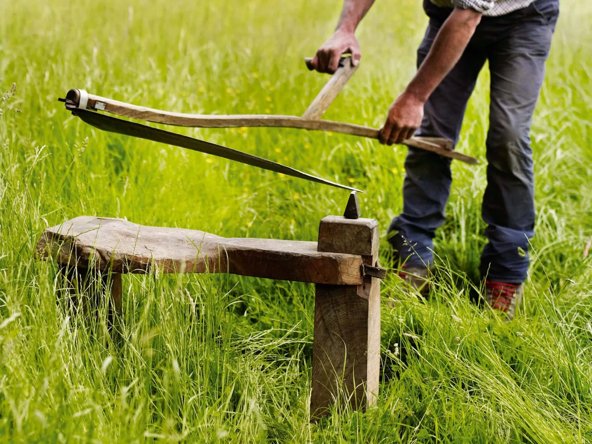 Top-Rated Gardening Tools Scythe: Find the Ideal Scythe to Maintain Your Lawn!