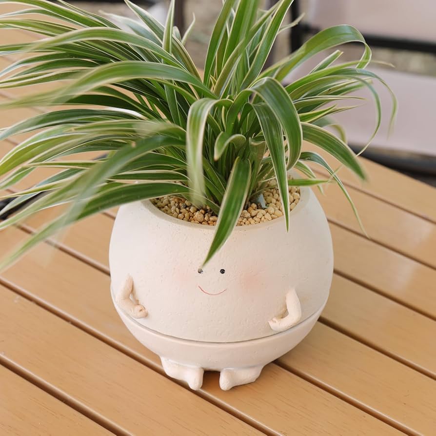 Modern Self Watering Planters: Keep Your Plants Happy!