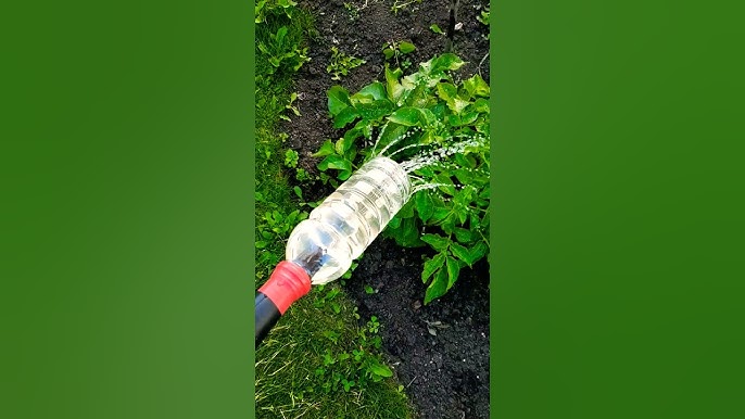 Is your watering can spout leaking badly? Learn these quick and easy fixes to stop drips.