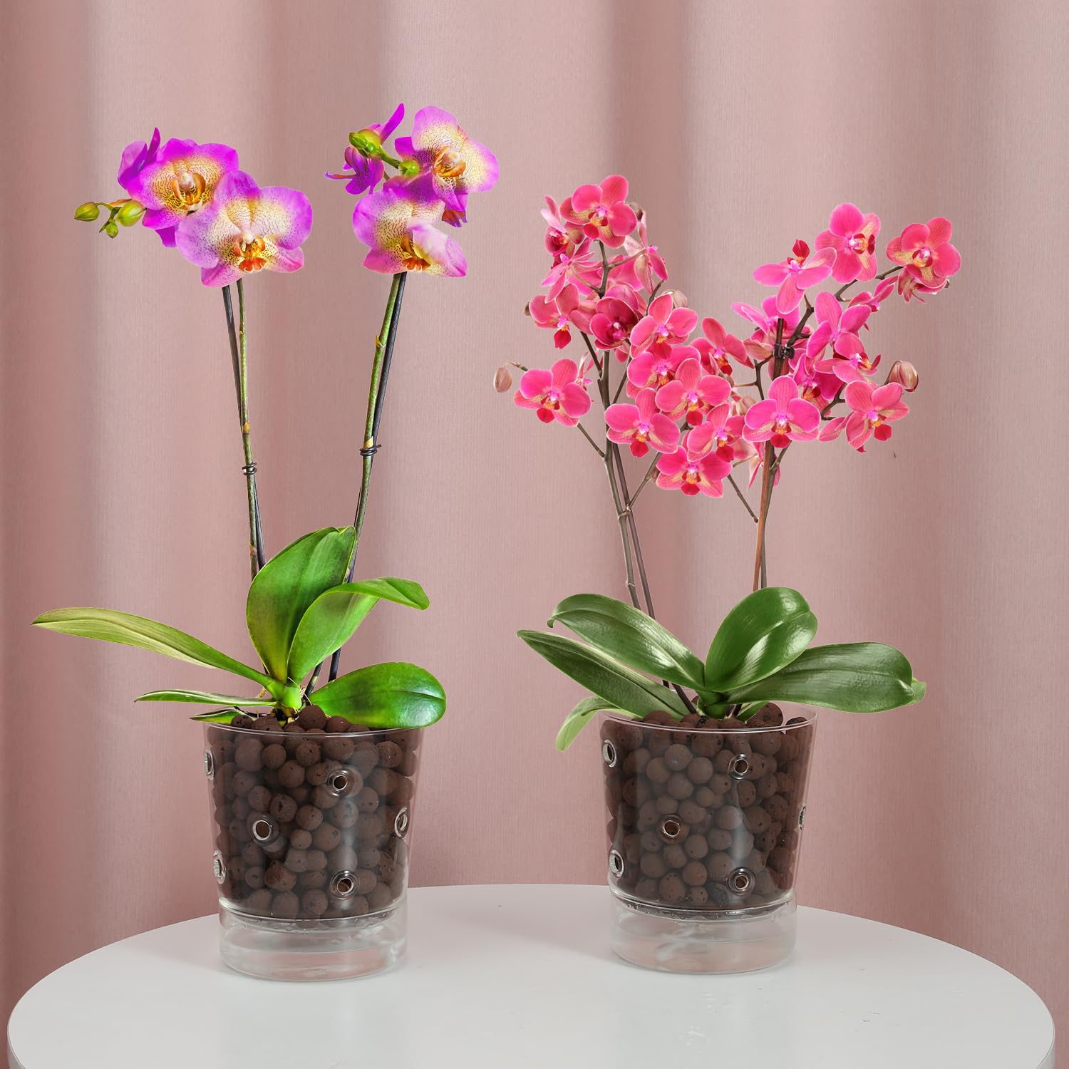 Self Watering Orchid Pots: Simple Way to Grow Orchids.