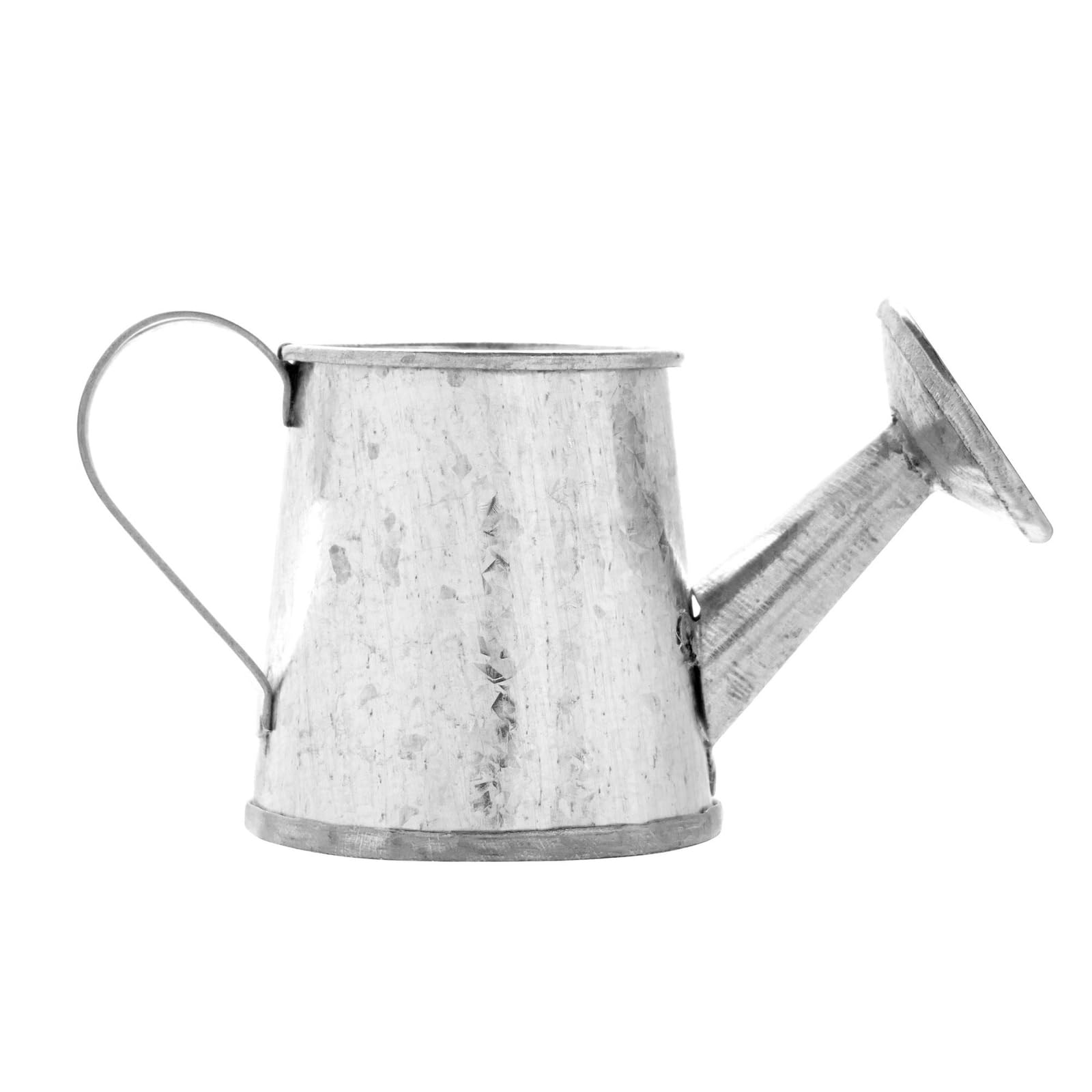 Love Small Galvanised Watering Cans? Check These Out!