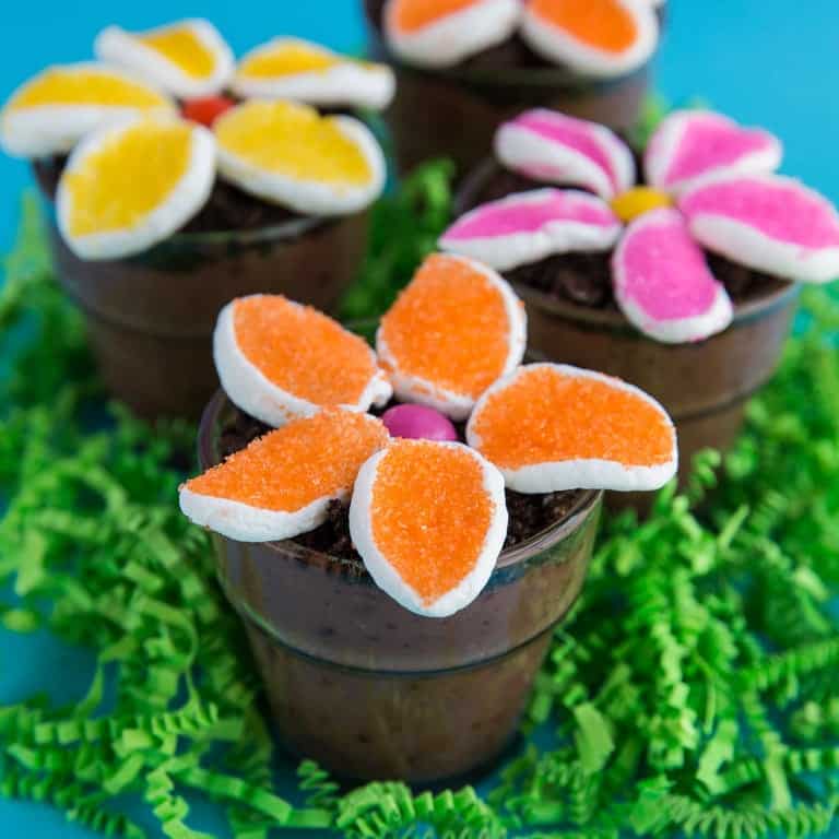 What exactly is a flowerpot dessert? Learn about this fun and super yummy pudding cup idea now.
