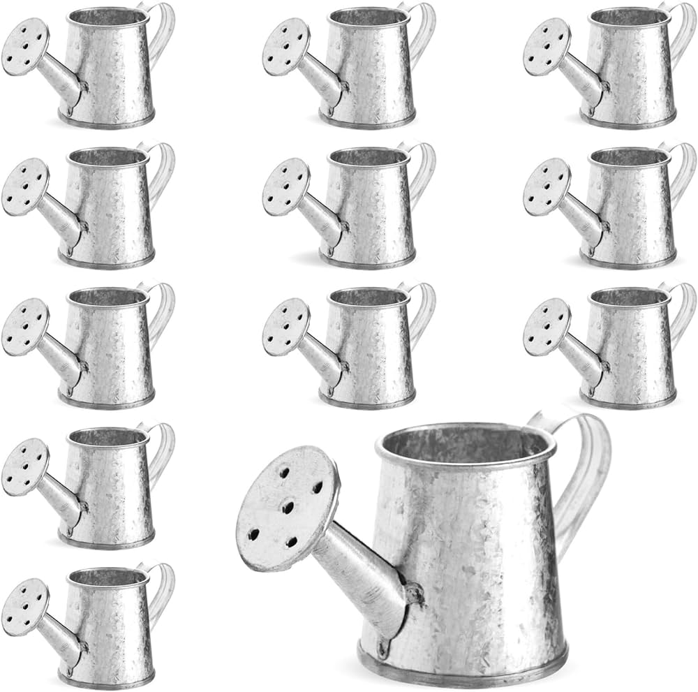 Mini Galvanized Watering Can: Where to Buy & What to Look For!