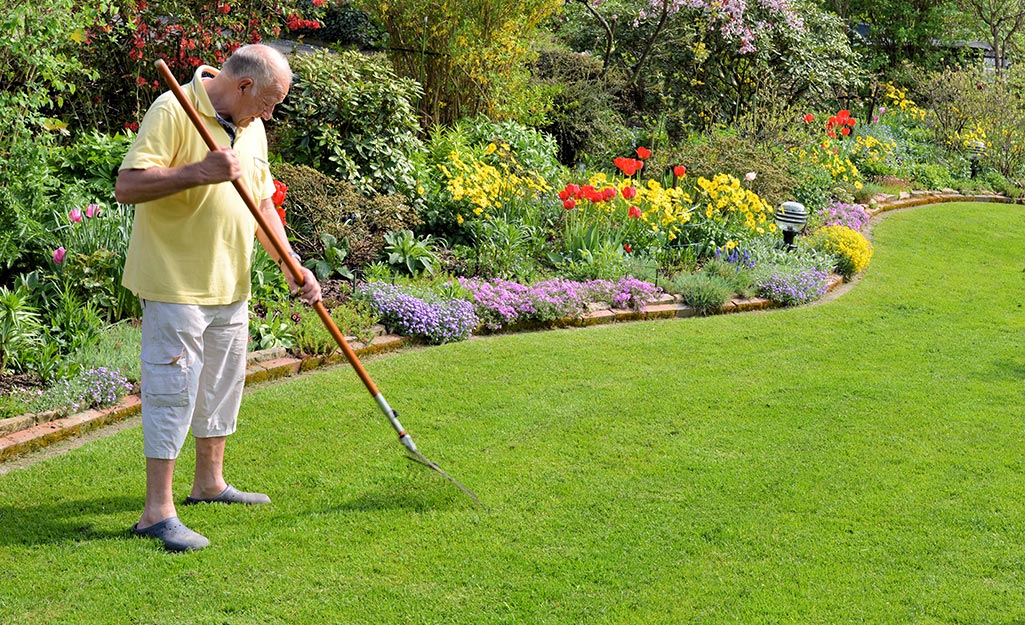 Lawn Care Holiday FL: Top Tips for a Perfect Yard!