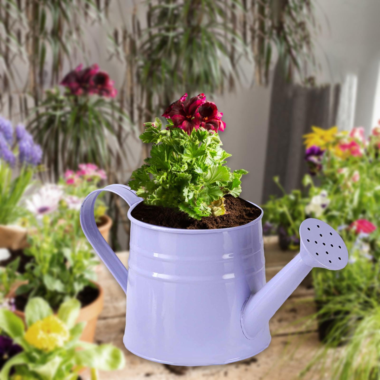 Watering Can Flower Pot Ideas: Find the Best for Your Indoor/Outdoor Plants