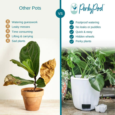 Lightweight Pots: Are They Right for You? (Pros & Cons).
