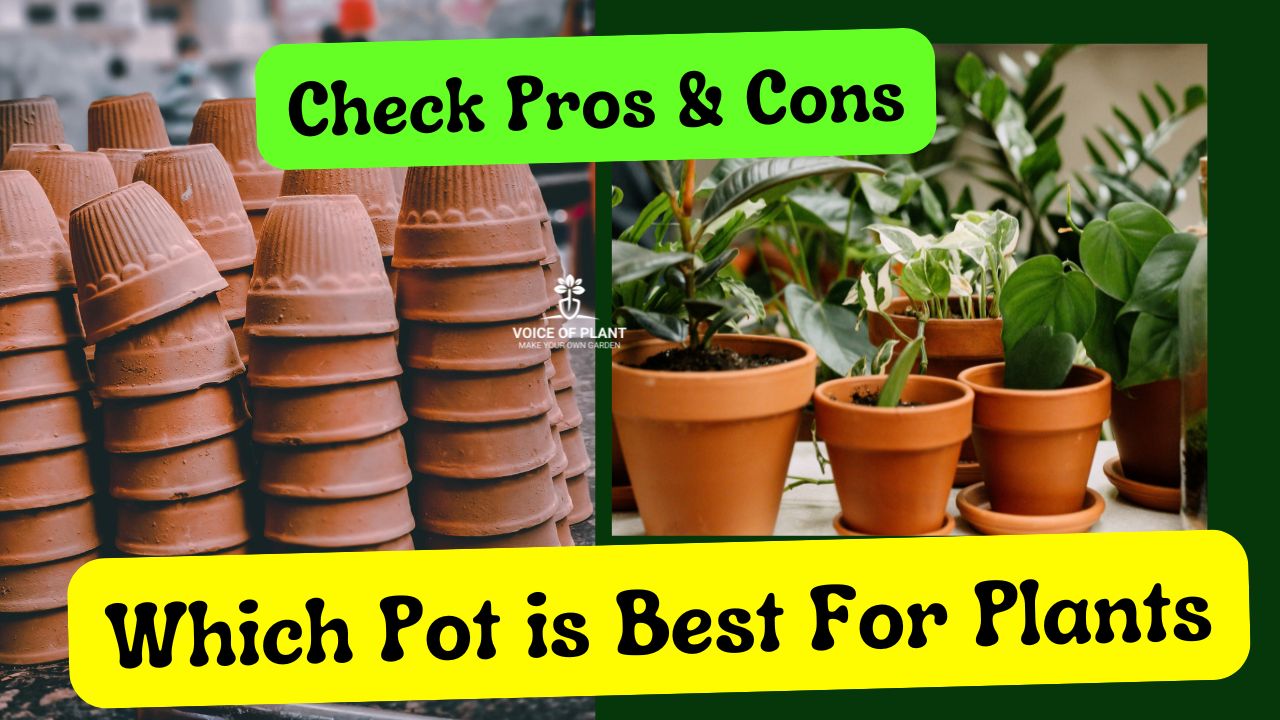 Lightweight Pots: Are They Right for You? (Pros & Cons).