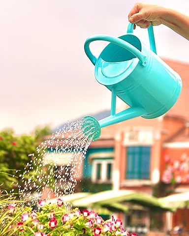 Long Neck Watering Can: Best Picks & Where to Buy!