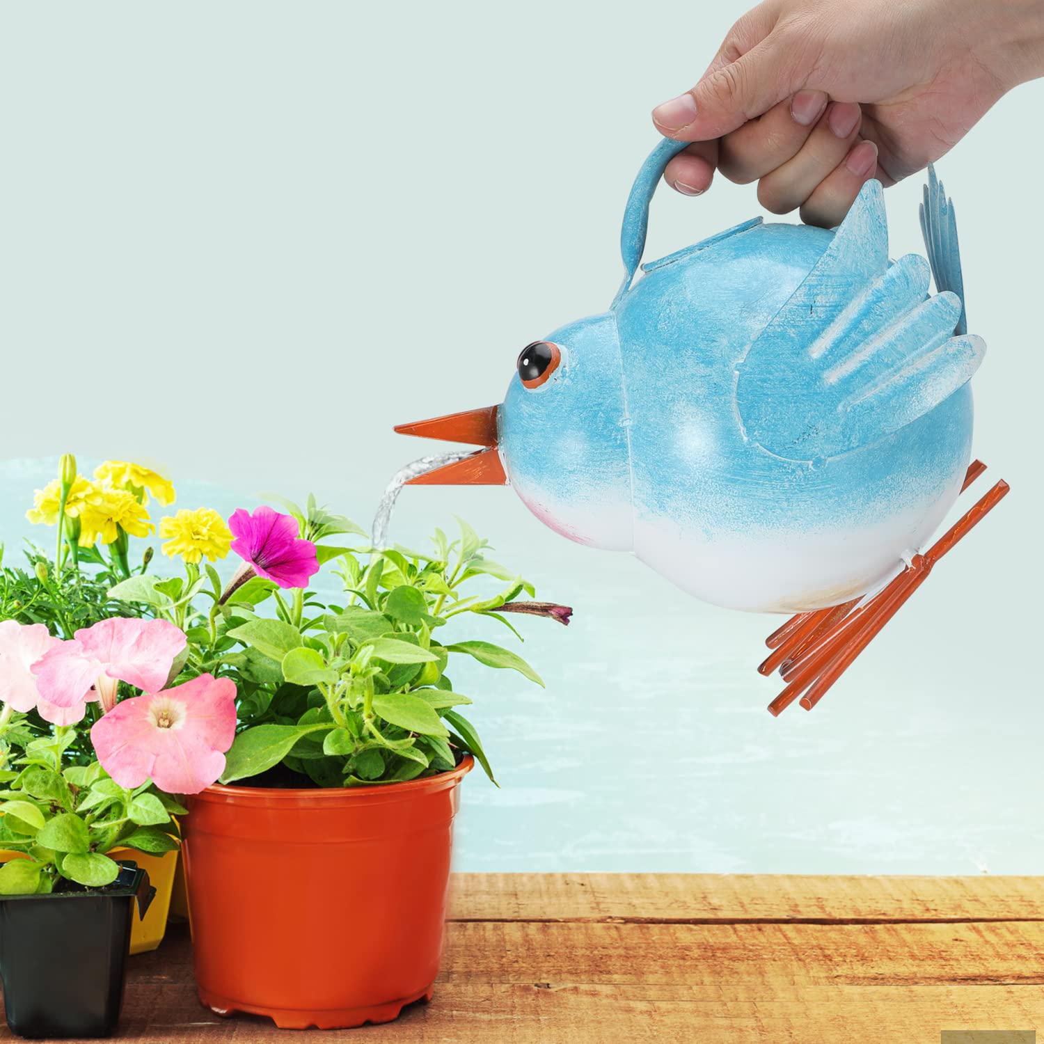 Novelty Watering Cans: Fun & Unique Designs for Your Garden!
